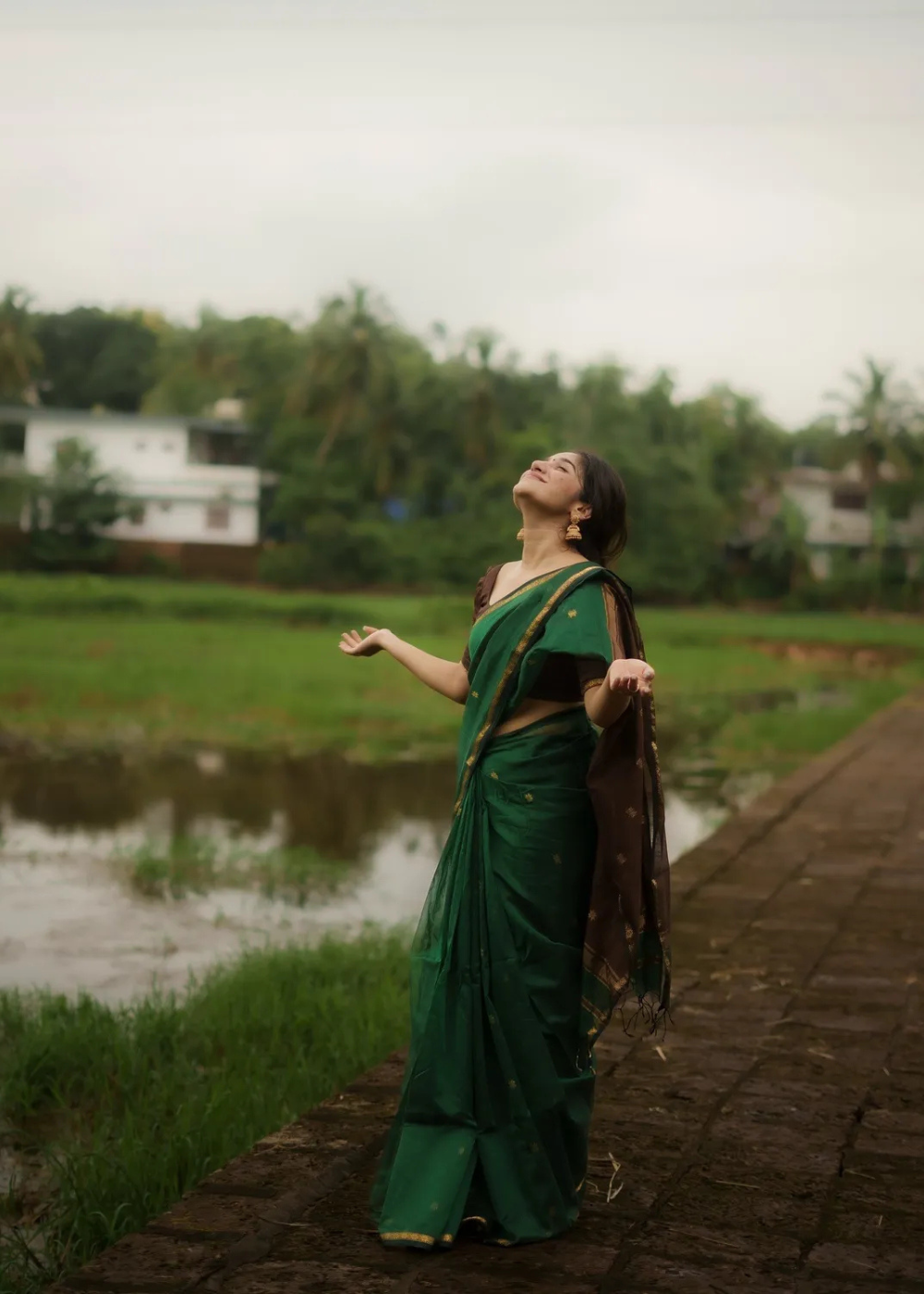 Soft & Graceful Bottle Green Maheshwari Silk Cotton Saree